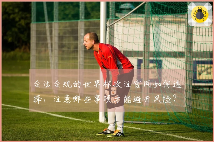 合法合规的世界杯投注官网如何选择，注意哪些事项才能避开风险？