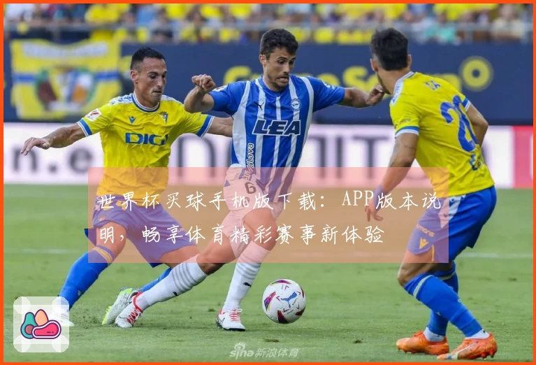 世界杯买球手机版下载：APP版本说明，畅享体育精彩赛事新体验