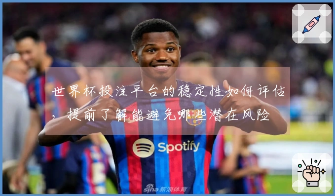 世界杯投注平台的稳定性如何评估，提前了解能避免哪些潜在风险