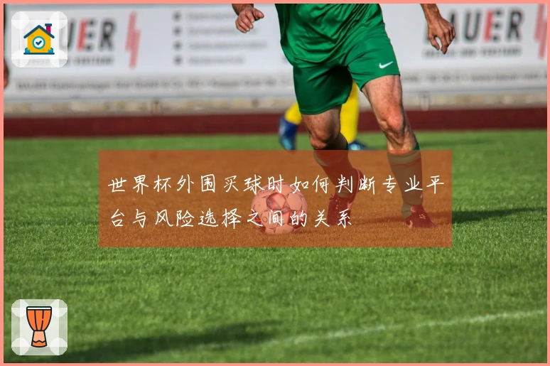 世界杯外围买球时如何判断专业平台与风险选择之间的关系