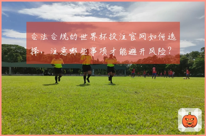 合法合规的世界杯投注官网如何选择，注意哪些事项才能避开风险？
