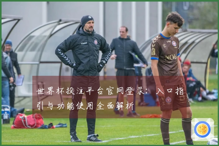 世界杯投注平台官网登录：入口指引与功能使用全面解析
