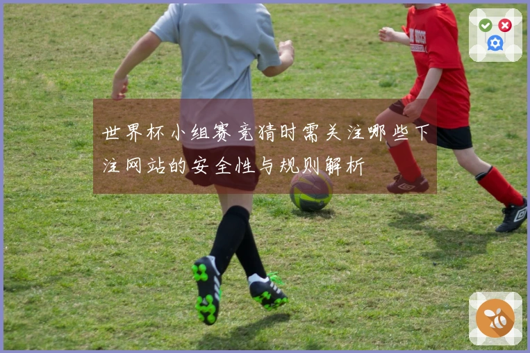 世界杯小组赛竞猜时需关注哪些下注网站的安全性与规则解析