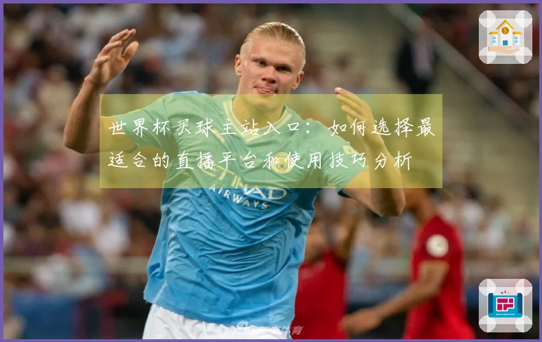 世界杯买球主站入口：如何选择最适合的直播平台和使用技巧分析