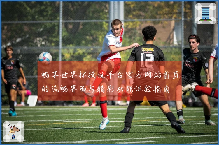 畅享世界杯投注平台官方网站首页的流畅界面与精彩功能体验指南