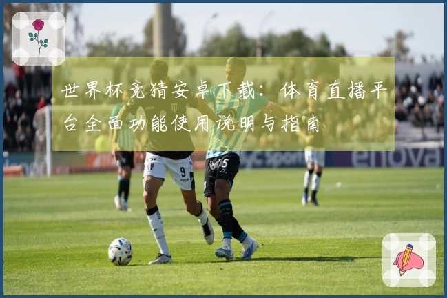 世界杯竞猜安卓下载：体育直播平台全面功能使用说明与指南