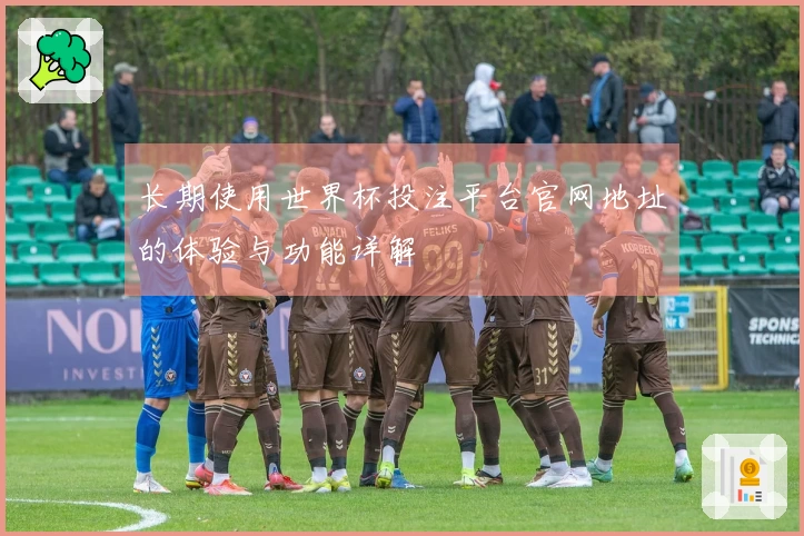 长期使用世界杯投注平台官网地址的体验与功能详解