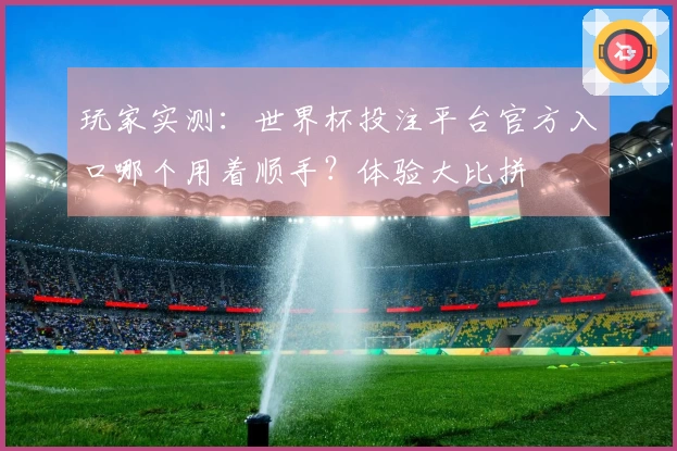 玩家实测：世界杯投注平台官方入口哪个用着顺手？体验大比拼