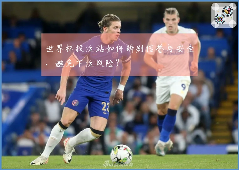 世界杯投注站如何辨别信誉与安全，避免下注风险？